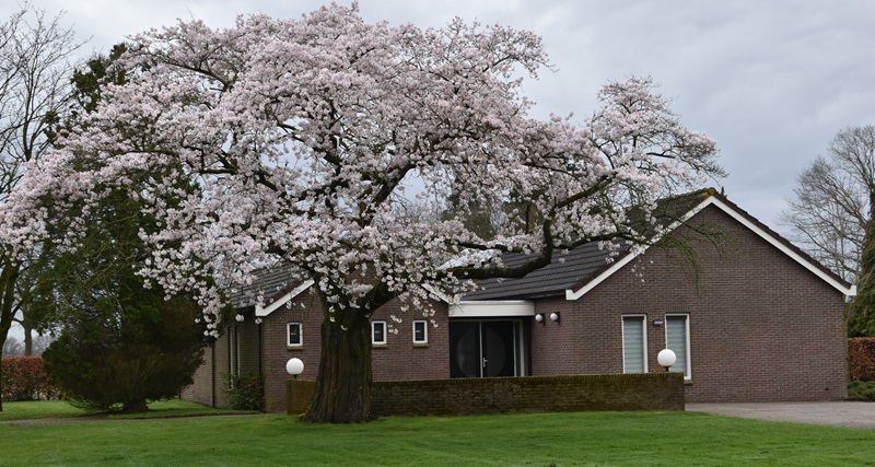 Inloopmiddag aula zweeloo